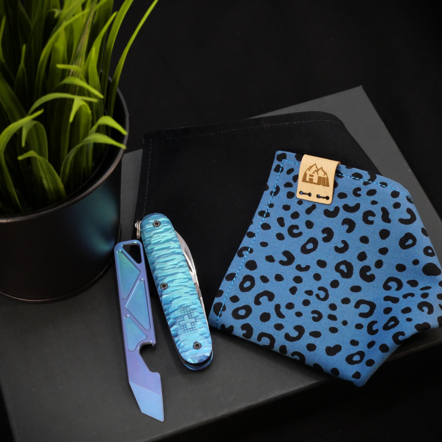 Li.JU Hank, BLUE LEO